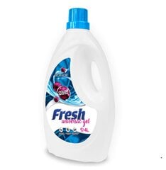 Fresh veļas mazgāšanas gels 4L/66 mazgāšanas reizēm cena un informācija | Veļas mazgāšanas līdzekļi | 220.lv