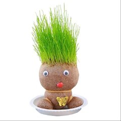 Растущая трава голова бонсай, Electronics LV-202, 1 шт цена и информация | Семена цветов | 220.lv