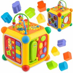 Развивающий кубик Ricokids RK-747 цена и информация | Игрушки для малышей | 220.lv