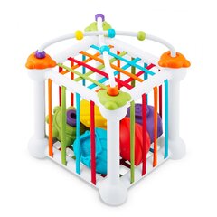Развивающий кубик Ricokids RK-759 цена и информация | Развивающие игрушки | 220.lv