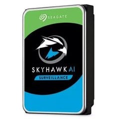 Seagate SkyHawk ST24000VE002 cena un informācija | Iekšējie cietie diski (HDD, SSD, Hybrid) | 220.lv