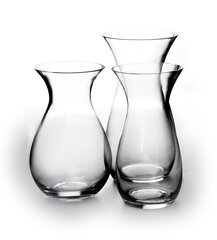 Serenite ваза 30 см цена и информация | Вазы | 220.lv