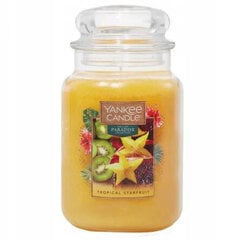 Yankee Candle svece Tropical Starfruit, 623g цена и информация | Подсвечники, свечи | 220.lv