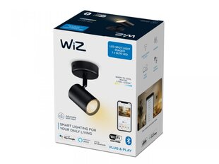 Philips griestu lampa Wiz Imageo цена и информация | Потолочные светильники | 220.lv