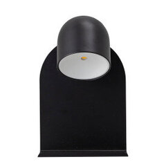 Sienas lampa 1L097 цена и информация | Настенные светильники | 220.lv
