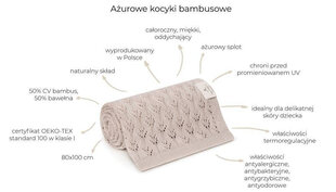 Одеяло 80x100 см цена и информация | Одеяла | 220.lv