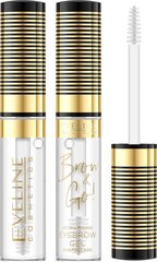 Uzacu gels Eveline Cosmetics Brow & Go, 6 ml цена и информация | Карандаши, краска для бровей | 220.lv