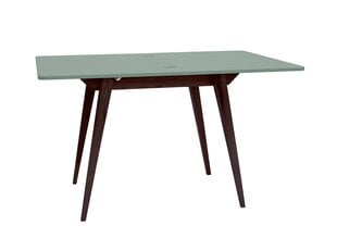 Galds Envelope, 90x65cm, zaļš cena un informācija | Virtuves galdi, ēdamgaldi | 220.lv