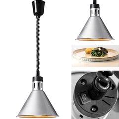 Инфракрасная ИК-лампа для подогрева пищи, подвесная, серебро, диаметр. 27,5 см, 250 Вт цена и информация | Люстры | 220.lv