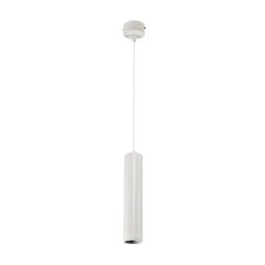 Elmark iebūvētā lampa TL29 15w 2700k 24° balts цена и информация | Монтируемые светильники, светодиодные панели | 220.lv