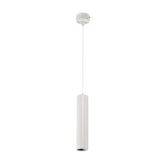 tl29 подвесной светильник 1хгу10 белый цена и информация | Монтируемые светильники, светодиодные панели | 220.lv