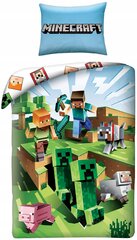 Детский комплект постельного белья Minecraft 160x200 см, 2 частей цена и информация | Детское постельное бельё | 220.lv