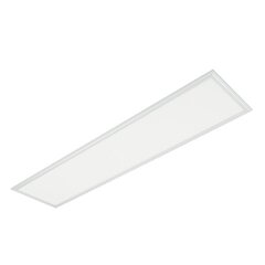 LED panelis 48w 4000k 295x1195mm ugr&amp;lt19 ip54 ip54 цена и информация | Монтируемые светильники, светодиодные панели | 220.lv