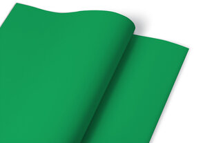 Līmplēve mēbelēm, 50x100 cm, Zaļš cena un informācija | Mēbeļu pārvalki | 220.lv