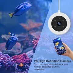 Автоматическая кормушка для рыбок с камерой + APP контроль Dark Red Brand, 230 мл цена и информация | Кормушки для рыбалки | 220.lv