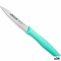 Нож Arcos Зеленый Мята Нержавеющая сталь полипропилен (36 штук) цена и информация | Ножи и аксессуары для них | 220.lv