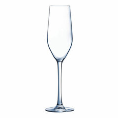 Plakana šampanieša un kavas glāze Arcoroc Mineral Stikls 160 ml cena un informācija | Glāzes, krūzes, karafes | 220.lv