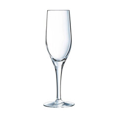 Šampanieša glāze Chef & Sommelier Stikls (19 cl) cena un informācija | Glāzes, krūzes, karafes | 220.lv
