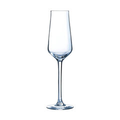Šampanieša glāze Chef & Sommelier Stikls (21 cl) cena un informācija | Glāzes, krūzes, karafes | 220.lv