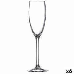 Šampanieša glāze Ebro Stikls (160 ml) (6 gb.) cena un informācija | Glāzes, krūzes, karafes | 220.lv