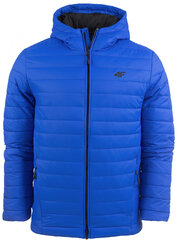 Мужская куртка 4F, синяя цена и информация | Мужские куртки | 220.lv