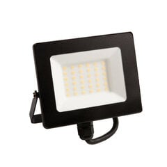 Прожектор 30W LED NW 2700Lm 4000K IP65 цена и информация | Уличное освещение | 220.lv