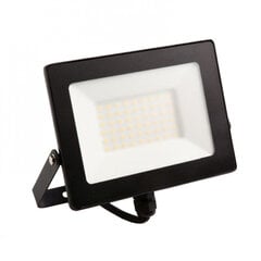 Prožektors Eco Light, 50W, LED NW cena un informācija | Āra apgaismojums | 220.lv