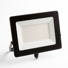 Prožektors Eco Light, 100W, LED NW цена и информация | Уличное освещение | 220.lv