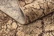 Rugsx paklājs Karmel Terra 200x300 cm цена и информация | Paklāji | 220.lv