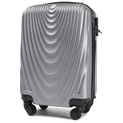 Маленький чемодан для ручной клади Silver FALCON цена и информация | Чемоданы, дорожные сумки  | 220.lv