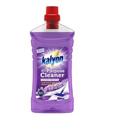 KALYON Универсальное чистящее средство GARDEN 1L цена и информация | Очистители | 220.lv