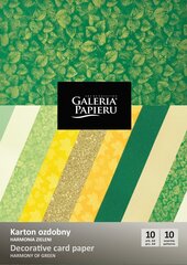 Декоративная бумага декоративная Galeria Papieru А4 220-250 г, 10 шт. цена и информация | Тетради и бумажные товары | 220.lv