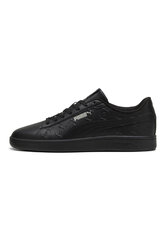 Puma Обувь Smash 3.0 Superlogo Black 395090 01 395090 01/11 цена и информация | Кроссовки для мужчин | 220.lv