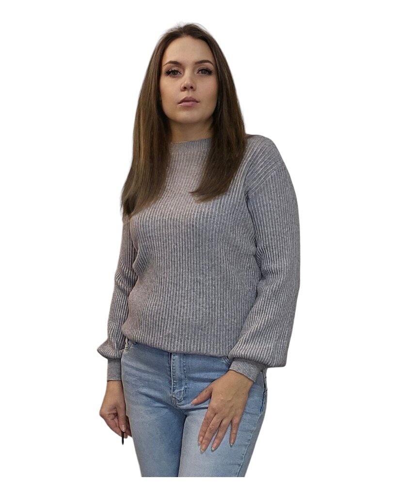 Džemperis sievietēm, pelēks цена и информация | Sieviešu džemperi | 220.lv