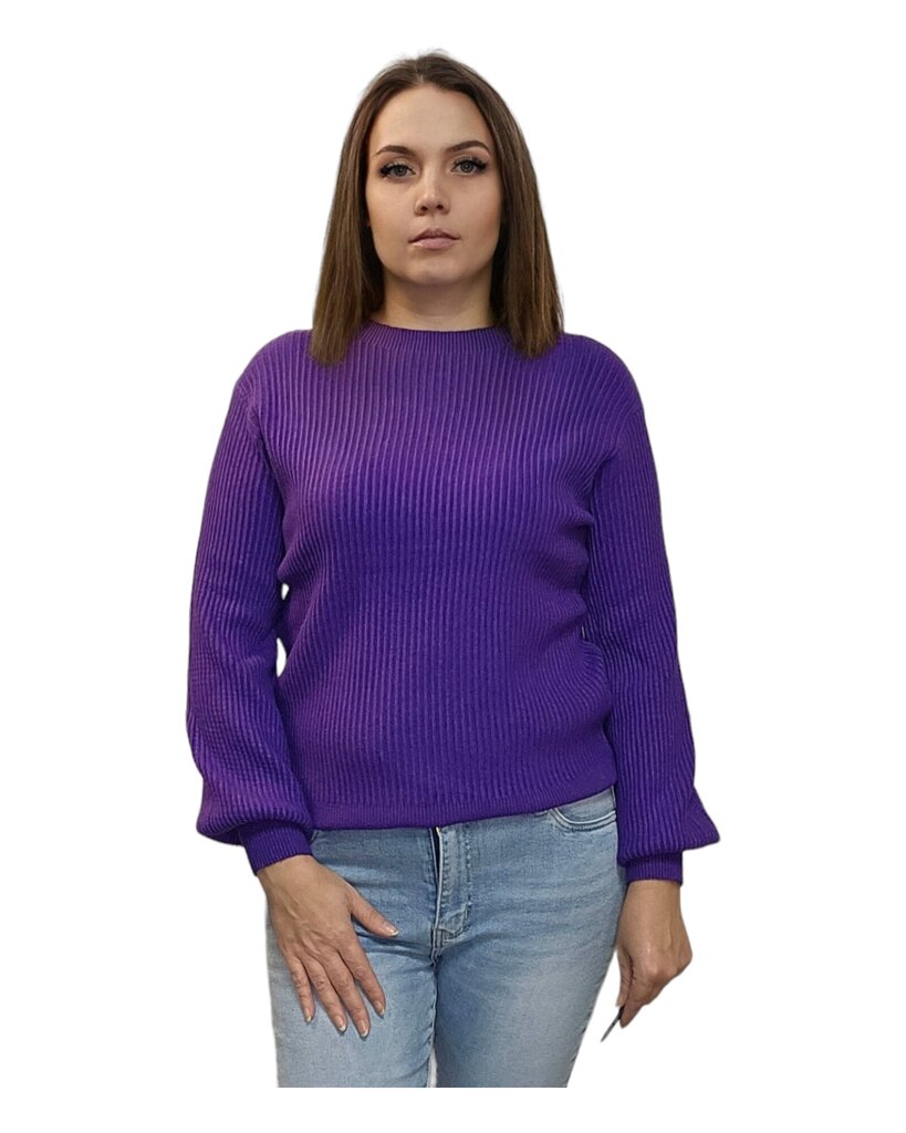 Sieviešu džemperis, violets цена и информация | Sieviešu džemperi | 220.lv