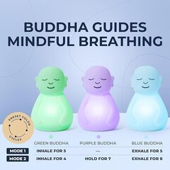 Meditācijas ierīce Budas elpa cena un informācija | Galda lampas | 220.lv