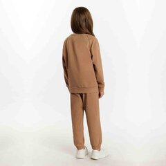 Спортивный костюм для девочек Tup Tup, коричневый цена и информация | Комплекты для девочек | 220.lv