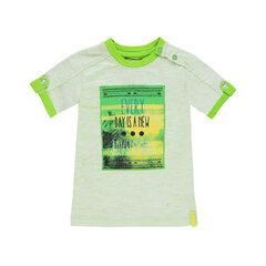 Футболка для мальчиков, зеленая цена и информация | Рубашки для мальчиков | 220.lv