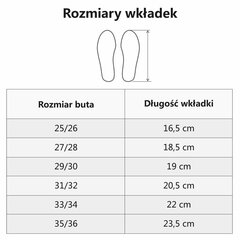 Снегоступы для мальчиков Demar, синие цена и информация | Детские сапоги | 220.lv