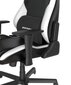 Spēļu krēsls DXracer cena un informācija | Biroja krēsli | 220.lv