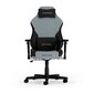 Spēļu krēsls DXracer цена и информация | Biroja krēsli | 220.lv