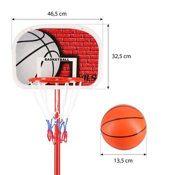 Basketbola grozs Nils ZDK881G cena un informācija | Basketbola statīvi | 220.lv