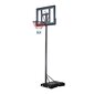 Basketbola grozs Nils ZDK321 цена и информация | Basketbola statīvi | 220.lv