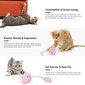 Interaktīva kaķu bumba Wwvvpet цена и информация | Rotaļlietas kaķiem | 220.lv