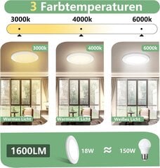 Probapro LED griestu lampa, 2 gab. цена и информация | Потолочные светильники | 220.lv