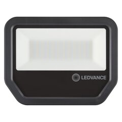 LED āra prožektors Ledvance, Floodlight Performance, 50W, 4000K цена и информация | Фонарик | 220.lv