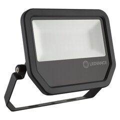 LED уличный прожектор Ledvance, Floodlight Performance, 50Вт, 4000К цена и информация | Фонарики | 220.lv