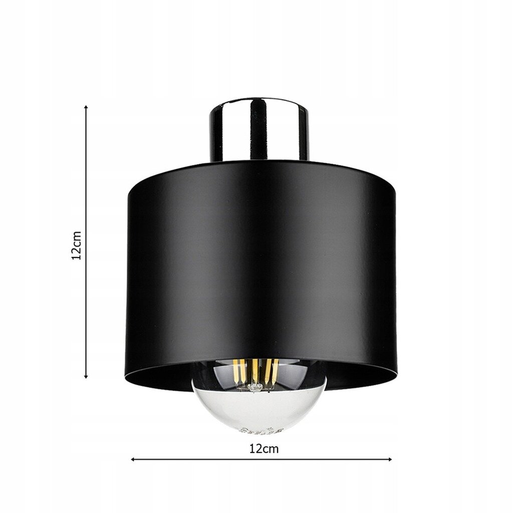 Led-lux griestu lampa cena un informācija | Griestu lampas | 220.lv