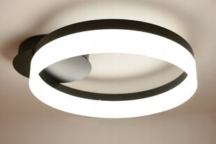 Подвесной светильник Led-lux LED цена и информация | Настенный/подвесной светильник Eye Spot 11 BL, чёрный | 220.lv