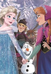 Пазл Clementoni Puzzle SuperColor Disney Frozen 25742, 104 детали цена и информация | Пазлы | 220.lv